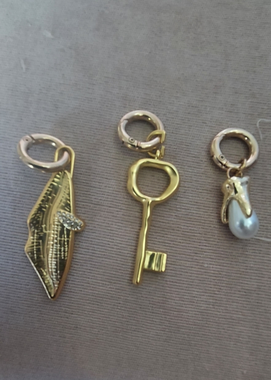 Schiaparelli anatomical charms